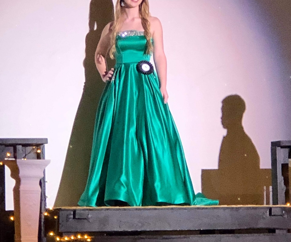 Pageant/Prom Dress - Picture 3 of 3